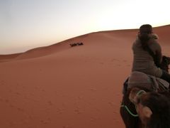 モロッコいろいろ⑤砂漠でラクダ