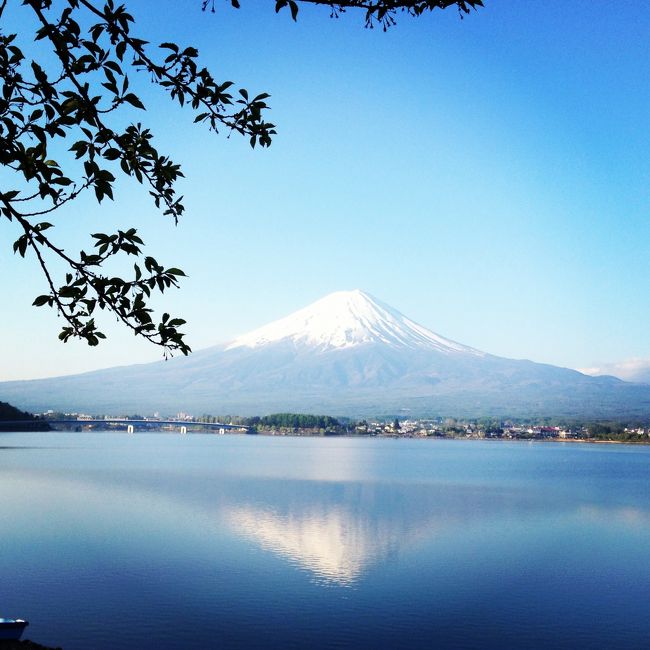 富士山が世界遺産に登録決定される数か月前に、旦那が「富士山がちゃんと見たい」と<br />言うので、GWに行くことになりました。<br />普段新幹線の車窓からは毎月毎月、何回も見ていても、近くで見てみたいな～とのこと。<br /><br />そして、箱根もちゃんと行ったことがない（友人の結婚式でちらっと行ったくらい）ので<br />箱根も行ってみようということになり、関西出発・車で箱根～河口湖へ行きました。<br /><br />2か月前くらいから河口湖周辺で富士山がよく見える宿を探していたのですが、やはりGWは満室が多く、<br />絶景のホテルはGWだとものすごく高いし・・・・。<br />どちらかというと貧乏旅行なので、あまり高いところは泊まれません・・(^◇^；) <br /><br />そこで見つけたのが、河口湖ド真ん前の民宿「湖舞家」です。<br />いたって普通の民宿で、豪華さなどはありませんが場所が最高です！<br />ちょっと歩けば河口湖、窓からは富士山がド正面！！<br />楽しみです！<br /><br />まずは、関西から車で箱根へ。<br />10年ほど前にも車で行ったのですが、三国峠の同じ場所で写真を撮ったり、芦ノ湖を眺めながら進みます。<br />そして箱根の宿は取れなかった（空室あっても高い・・・）ので、「天成園」で翌朝9時まで滞在OKの日帰り温泉にしました。<br />温泉に入り、食事をし、その後はリラクゼーションルームで朝まで居れます。<br />ベッドや個室ではありませんが、GWの時期に3800円はお得です！<br /><br />で、翌日河口湖へ向かうのですが、「富士屋ホテル」が見たいなーと思い、見学だけでもできるのかな？とホテルへ向かうと、係りの方がわざわざ車を誘導してくれ、「いらっしゃいませ」などと言われたのですが、「あの・・・・見学だけしたいのですが・・・。」と恐る恐る言うと、とても気持ちよく爽やかに「さようでございますか！あいにくまだレストランなどが営業しておりませんが、館内の見学だけならどうぞ！」とパンフレットを見せながら説明をしてくださいました！<br />館内へ入ると、とてもクラシックな、アンティークな、モダンで素敵！！！<br />同じ場所でいろんな場所で何枚も写真を撮影！！<br />植物園のようなところもありうろうろしたり、レストラン前まで行ってみたり、なかなかお目にかかれないような建物・館内で満喫！<br /><br /><br />車へ戻ると、どうやらすぐ下に直営のパン屋さん「PICOT」があり人気な模様。<br />お客さんが続々と向かっていきます。<br />たまたまPICOTへ行ったのがオープンと同時で、クラシックカレーパンが手に入りました！<br />私たちの後の人は、数人購入後もう売り切れでラッキーでした！<br />早起きしてよかった！<br />いくつかのパンとケーキを買い、大涌谷へ。<br />こちらもGWとあって道中ダダ混み！！！！！<br />全然進まないので違う道はないかとiphoneでルート検索すると、まったく知らない道を案内してくれ、Uターンをし、細い道を通り、迂回して違う道へ出て早くたどりつきました！<br /><br />テレビなどではよく見る初めての大涌谷。<br />定番の黒たまごを食べたりロープウェイに乗って観光してるって感じです。<br />そしてやっと河口湖へ。<br /><br />有名なホテルや旅館を後目に「この辺かな・・？」と着くと、本当に普通の民宿ですが、びっくりするくらい正面に富士山で丸見え！！<br />チェックインし部屋に入ると、窓を開けると富士山全開！！<br />ただし、もう夕方で天気もさほど良くなかったので雲がかかっていてクッキリとは見えませんでした。<br /><br />夕飯まで外を散策しましたが、6時過ぎでは何もなく・・・<br />お店も閉まってるし、歩いて行ける距離には何もなくすぐ戻ってきました。<br />でも、所々、カメラや三脚を用意している人たちが居ました。<br />「ということは、明日きれいに見えるのかな～？」と期待。<br /><br />夕食を食べ、お風呂に入り、明日富士山は見えますかね～？と民宿の人に聞くと、早朝なら見えますよと言われ、明日は5時に起きよう！と早く寝ました。<br />風がなければ湖にも逆さ富士が見えるよう。期待。<br /><br />翌朝目覚ましをかけてはいましたが、目覚ましより先に旦那に「起きて！！！起きて！！！すごい！！！」と起こされ窓を見ると、それはくっきりときれいに見える、思い描いていた富士山でした！<br /><br />「す・すごいー！」とこんなにきれいにはっきり見える富士山に興奮し、すぐに顔を洗いコンタクトを入れ、外に出ました。<br />雲もなく、全部がきれいに見える富士山を何枚もいろんな場所から写真を撮影。<br />逆さ富士もくっきり見えます。<br /><br />「ここにして良かったねー！！」と宿に戻ると、もう雲がかかってきました。<br />早朝の少しの間しか見れなかったので、本当ラッキーです。<br /><br />チェックアウトし、ちょうど「富士芝桜まつり」をやっているので向かいます。<br />ガイドブックで見た通りのきれいな花畑でしたが、富士山はあいにく雲がかかってます。<br />でもイベント会場内にはお土産や食事もできて、それなりに楽しめました！<br /><br />あ、前日に富士山5合目まで車で上りました。<br />中学校の修学旅行で来て以来です！<br />さすが気温も低く、雪も残ってて寒かったです。<br />ここでしか買えない「富士山メロンパン」を並んで買い、ちょっと散策して降りてきました。<br /><br />今回いろんな箇所から富士山を見ましたが、やはり河口湖前からの逆さ富士が一番素敵で忘れられません！！<br /><br />富士山、河口湖、箱根、大涌谷、芝桜、富士屋ホテル、など貧乏旅行でしたが満喫しました！！<br /><br /><br /><br /><br /><br /><br /><br />