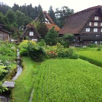 長野&岐阜旅行記②（白川郷編）