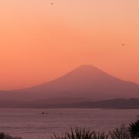 江の島のライトアップ見てきました