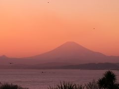 江の島のライトアップ見てきました