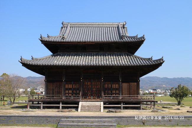 聖武天皇の発願によって全国に建立された国分寺ですが、紀伊国では現在の紀の川市域に建立されました。紀ノ川沿いに少し遡れば、旧高野街道の通筋沿いに、かむろ大師や石童丸物語を伝える刈萱堂(かるかやどう)などがあり、弘法大師の足跡をも伝えています。紀の川市の町の名前も桃山町という、紀ノ川沿いには、桃畑が広がり、当地の桃は、地質と気候によって美味しさを評価され「あら川の桃」として有名です。が、残念ながらつぼみが膨らんだ状態で、桃の花の香りさえも叶わず、花が咲くか、桃が熟れる頃のシーズン中の再訪を楽しみにと、慈尊院、刈萱堂、かむろ大師へと向かいました。