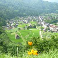 中央高速バスで行く　 世界遺産・白川郷と飛騨高山食べ歩き　2012年7月