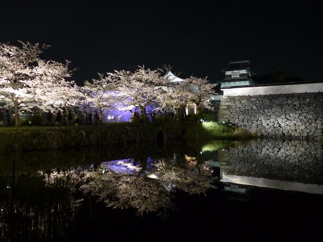 久々の福岡、仕事を終えて桜の名所「舞鶴公園」に夜桜を見に行きました。<br />明日からの天気予報が雨であることも影響し本日は多くの人々が夜桜見学に訪れていました。<br />ライトアップされた桜がとても奇麗で長時間の滞在となりました。<br />その後ホテルに戻りゆっくり花よりお酒を満喫しました。<br />それにしても奇麗な桜でした。<br />写真を沢山撮りました、ご覧ください。