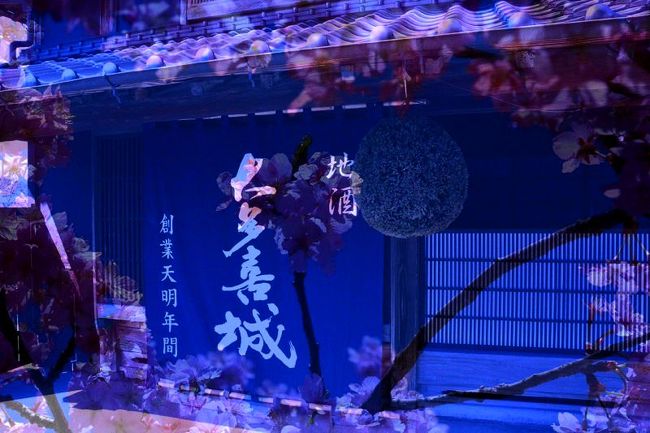 今年は記録的な大雪に見舞われた日本列島。<br />関東もそれにもれず、春は遠かった。<br />それでも暖かな陽射しを感じると、木々たちもやっとそれに応えるかのように芽吹き、桜もちらほら咲く3月お彼岸であった。<br /><br />東京に住む私だけど、千葉って近いようであまり行かないエリア。<br />菜の花列車に乗ってみたくて出かけてみたけど、記録的な大雪のせいでまだその姿はあまり見せてはくれなかった。<br />でも、のんびりと城下町の春を楽しんでみた週末。<br /><br />新しいカメラに慣れるためにと出かけたけど、まったく納得いかない写真ばかりでいささか凹んだが(-"-)<br />もしかして今回近年稀に見る最悪の出来なのだがまぁ、一応これも証拠として残しておこうと思う。あしからず。