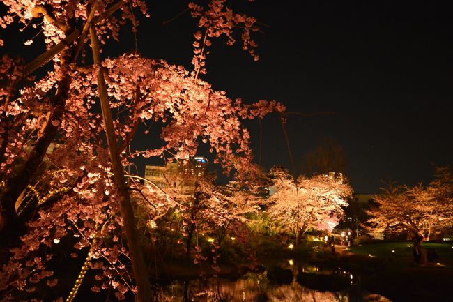 平日だけれど、代休取ったので、都内をいろんな用事でうろうろ。<br /><br />桜の開花もワクワクする話題のひとつですね。<br /><br />道すがら撮ったものなどをちょこっとまとめてみました。