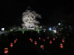 2014早春！京の旨いもの巡り＜第1日よる＞錦市場→東山花灯路