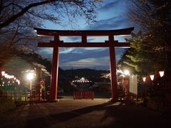 香取ぶらぶら花見ドライブ