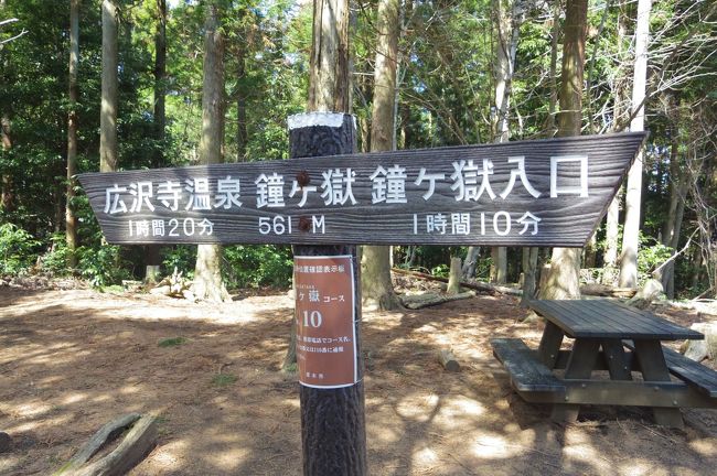 東京の地下鉄路線ウォーキングも終わって、一息つく間もなく、次のプロジェクトがスタート！<br />それは富士山に登ること。<br />昨年まで、私は絶対登れない・登ろうなんて思わないと思っていたのに。<br /><br />世界遺産登録されたのがきっかけか、世界の果てまで行ってQのイモトに影響されたのか、別の目標がつぶれたためか・・・、<br />とにかく今年は富士山初登頂すると決心して、もうツアーも申し込んでしまいました。<br /><br />高山病で登れなかったらしょうがないけれど、体力がなくて登れないのはくやしい。<br />少しでも楽に登るためにはトレーニングしないと！<br />と思って、まず日帰り山歩きの本を買って、手始めに本厚木からバスでアクセスしやすい鐘ヶ嶽に上ってきました。