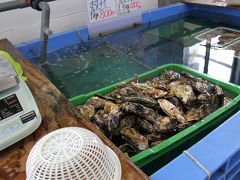 2014年　幸永丸水産で今年最後の牡蠣購入