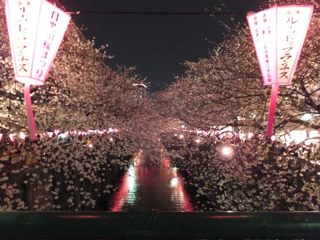 急激に暖かくなった週末、桜の開花のニュースが聞こえてきた。<br />満開前なのに日曜日に大雨だとテレビで言っている(@_@)<br />じゃあ土曜日の夜桜見物でも行きますか〜♪と、初めて中目黒の桜を見に行きました。