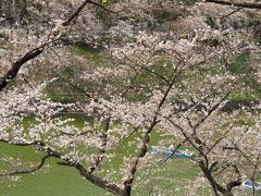 東京散歩『花めぐり（北の丸公園・千鳥ヶ淵・靖国神社）』