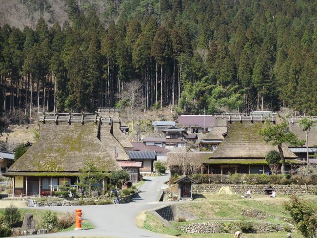 天気も良くドライブがてらに美山のかやぶきの里と常照皇寺を訪ねました。