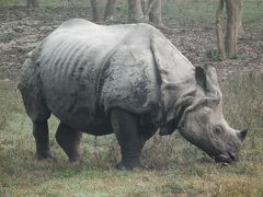 ネパール・ヒマラヤ展望とチトワン国立公園の旅　⑧‐②