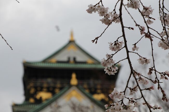 お花見にはちと早いかなと思いながらも、良いお天気だったので大阪城へ桜を見に行ってきました。<br /><br />大阪城公園は、豊臣秀吉が築城した大阪城をめぐる庭園を中心とした緑豊かな公園で、園内には約3000本の桜が植えられ、都会のオアシスとして広く親しまれています。<br /><br />内濠と外濠沿いに植えられた染井吉野は、一部でほぼ満開の木もありましたが、全体的には三分咲きと云った開花状況でした。<br /><br />それでも、うららかな春の陽気に誘われるように、桜の花を求めて大勢の見物客が訪れていました。