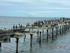 のんびり南米旅その６　プンタアレナス　マゼラン海峡をのぞむ