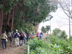 陽春の熊野古道　　　八鬼山越え (627ｍ)　