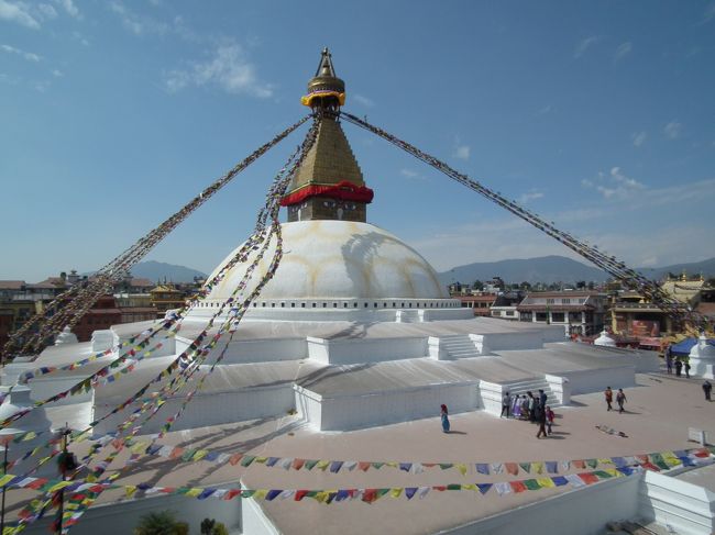 ネパール・ヒマラヤ展望とチトワン国立公園の旅　⑧‐⑥