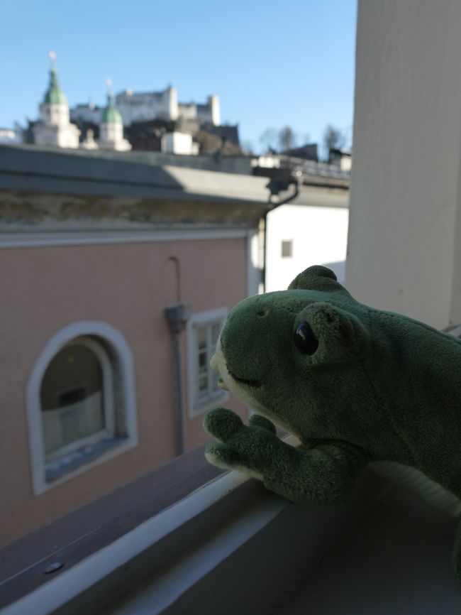 5泊7日の日程でウィーン、ザルツブルクを旅してきました。<br />旅のお供は、以前ドイツで購入したカエルのぬいぐるみです。<br />（※カエルの写真はそんなに多くはありません）<br />ウィーン、ザルツブルクともに、2度目の訪問になります。<br /><br />旅行日程<br />3月15日：成田→ウィーン<br />3月16日：ウィーン<br />3月17日：ウィーン→ザルツブルク<br />3月18日：ザルツブルク→ウィーン<br />3月19日：ウィーン<br />3月20日：ウィーン→成田（3月21日到着）<br /><br />旅行記は、ウィーン編とザルツブルク編の2つに分かれています。<br /><br />今回の旅行は、3月に入ってからウィーンに行くことを決めたので、<br />ツアーではなく個人手配です。以下は旅行にかかった主な費用です。<br /><br />航空券：128000円（オーストリア航空ＨＰより購入、事前座席予約可能）<br /><br />ウィーン滞在時間を少しでも延ばすためにルフトハンザの経由便利用も検討しましたが、航空券の値段と乗り継ぎの手間を考慮してオーストリア航空を利用することにしました。<br /><br />宿泊：ウィーン　1泊平均6000円<br />　　（計4日宿泊、トゥーロテル・マリアヒルフ利用）<br />　　　ザルツブルク　1泊10000円<br />　　（ホテル・エレファント利用）<br /><br />鉄道パス：13600円（ユース3日間2等車、オーストリア国内のみ）<br /><br /><br /><br />