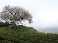 武雄・多久の旅行記