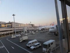新千歳空港から羽田への帰還