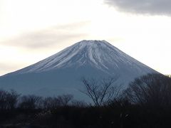 祝！世界遺産認定記念　ぐるっと富士山ドライブ