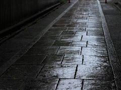 京都　早咲きの桜めぐり～車折神社