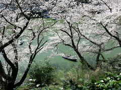 東京桜散歩 （千鳥ヶ淵～北の丸公園～小石川後楽園）