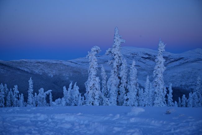 「年末にアラスカ行きのJALチャーター便が出るよ。」で始まったアラスカ旅行。<br />３日滞在で１日見られたらＯＫという、イチローの打率のような確率を言われましたが、<br />４日滞在中、４日ともオーロラが見られました。<br /><br />日ごろの行いがいいのか、今年の運を全部使ったのか・・・<br /><br />【日程】<br />２０１３年１２月３０日　<br />成田空港１９時４０分発　ＪＬ８８００便でフェアバンクス国際空港へ<br />着後　フェアバンクス市内観光<br />　　　○アラスカ大学博物館<br />　　　○パイプライン<br />　　　○モリストンプソン　カルチャル＆ビジターセンター<br />　　　○スーパーで買い物<br />夕刻　チェナ・ホットスプリンゲへ<br />夜　　オーロラ鑑賞<br /><br />２０１３年１２月３１日<br />チェナ・ホットスプリング滞在<br /><br />２０１４年１月１日<br />午前　フェアバンクスへ移動<br />夜　　レストランで夕食後、オーロラボレアリスロッジでオーロラ鑑賞<br /><br />２０１４年１月２日<br />ドルトンハイウェイ　北極圏ドライブ<br /><br />２０１４年１月３日<br />フェアバンクス空港　１２時００分発　ＪＬ８８０９便<br /><br />２０１４年１月４日<br />１４時１０分　成田空港　到着<br /><br />【使用機材】<br />Nikon　D600　tokina　10-17mmfisheye　Nikon　24-85mm<br /><br /><br />　　　　　　　　　　　　<br />