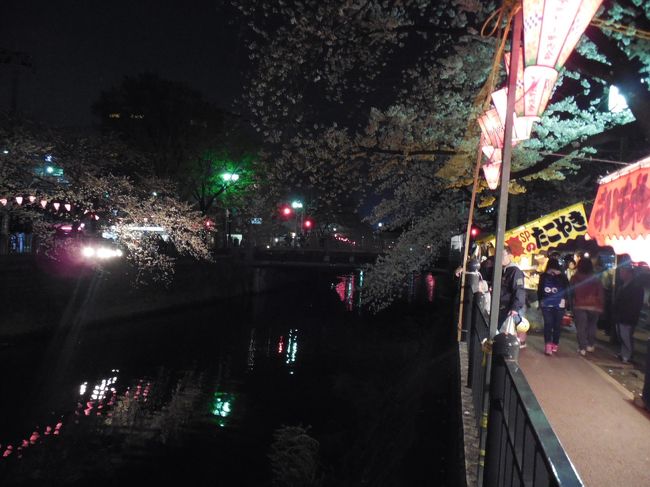 満開の桜、露店も並んでいて、花見の人でにぎわっていました。<br />近くまで行ったので、弘明寺から南太田まで、横浜の大岡川の夜桜を楽しみました。<br />
