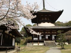 桜紀行　2014　PART 3　和歌山　岩出　根来寺を訪ねて