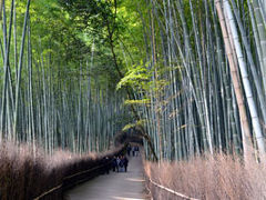 京都旅行記2011～冬の鞍馬～