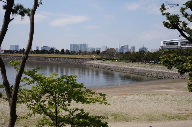 品川駅からお台場地区までノンストップ、走っている所は見るけど乗った事がない「お台場レインボーバス」<br /><br />港区報で「お花見しながら歴史を感じられるスポット」と紹介されていた、東京都立台場公園にこのバスで行ってみる事にしました。<br /><br />台場公園は、1853年、ペリーの黒船が来航した直後、江戸幕府が海防のため築かせた砲台の跡地「第三台場」で、大正15年(1926年）に国の史跡に指定されました。<br />台場とは砲台の意味で、当時の人々が幕府に敬意を表して「お」をつけて呼び慣わしたことから、「お台場」と呼ばれて今に至ったそうです。<br />結局、この砲台は一度も火を噴く事なく日本が開国することになったのですが、現在の「お台場」の印象とはかけ離れている砲台の跡は今もはっきりと残っています。<br /><br />ただのお散歩の旅行記ですが、お台場へのアクセス方法や違った角度からのお台場をご覧いただき、これからのお台場訪問の参考にしてくださると嬉しく思います。