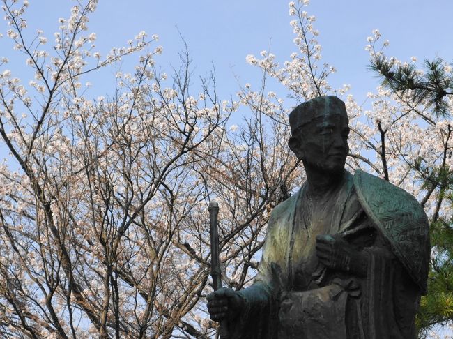 気がつけば、桜の花も満開です。見頃を過ぎた桜はすでにハラハラと散り始めているものもあります。<br />綺麗に咲いているうちに見ておかなければ、どこか淋しい思いをします。<br />とりあえず、近所の桜を見てきました。