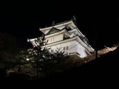 桜紀行　2014　PART　5　和歌山城を訪ねて（夜桜編）