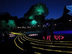 橿原神宮「まほろばファンタジア」３Ｄマッピング