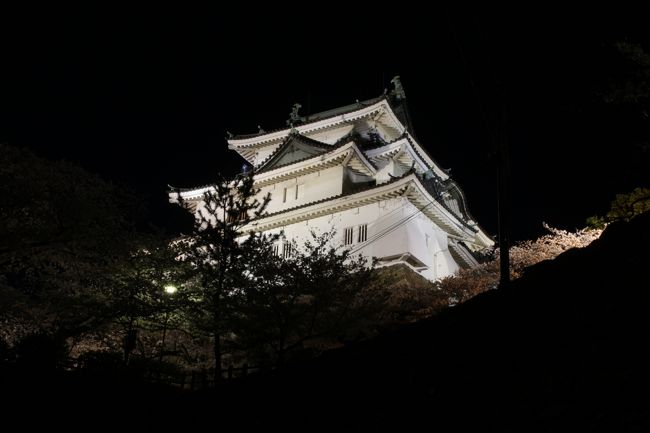 和歌山城の夜桜いいですね<br />今年は自己満足しています<br />足を運んだ甲斐がありました<br />では<br />どうぞ