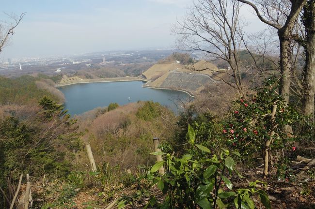 城山かたくりの里で、かたくりの花をはじめ種々の花を楽しんだ後は、城山湖へハイキングしてきました。先週に続いて富士山初登頂をめざしてトレーニングをしたいと思っていたので、ちょうどいい!<br /><br />ネットでよく調べ、グーグルマップを見て、かたくりの里においてあるMAPももらって、案内板も良く見て歩いたはずが、最後で大コケ!