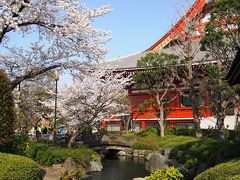 ＜東京・満開の桜散歩・浅草＆隅田公園編＞浅草は大混雑！カキ氷で始まりパンで終わる？