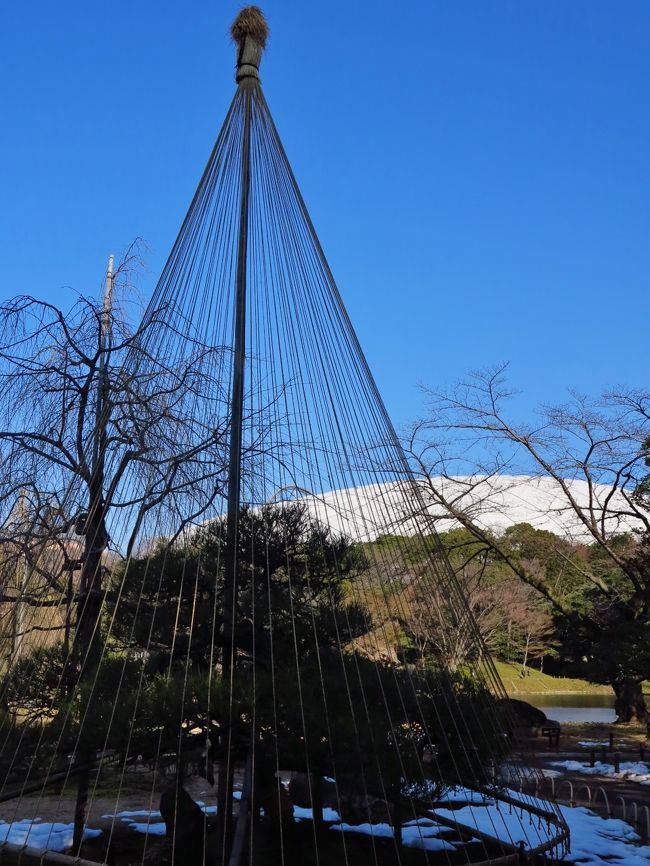 小石川後楽園（こいしかわこうらくえん）は、東京都文京区後楽一丁目にある都立庭園。江戸時代初期に水戸徳川家の江戸上屋敷内につくられた築山泉水回遊式の日本庭園（大名庭園）であり、国の特別史跡及び特別名勝に指定されている。<br /><br />1629年（寛永6年）、水戸徳川家水戸藩初代藩主・徳川頼房が作庭家・徳大寺左兵衛に命じて築いた庭園を、嫡子の光圀が改修、明の遺臣朱舜水（朱之瑜）の選名によって「後楽園」と命名して完成させた。出典は『岳陽楼記』の「天下の憂いに先じて憂い、天下の楽しみに後れて楽しむ」によっており、岡山市にある後楽園と全く同じである。<br /><br />7万平方メートル以上の広大な園内には、蓬莱島と徳大寺石を配した大泉水を中心に、ウメ、サクラ、ツツジ、ハナショウブなどが植えられ、四季を通じて情緒豊かな景色が広がる。<br />また中国の文人たちが好んで歌った西湖や廬山も採り入れている。光圀は朱舜水を設計に参加させたといわれており、中国的、儒教的な趣好が濃厚である。<br /><br />1869年（明治2年）の版籍奉還により藩主徳川昭武が邸宅とともに新政府に奉還し、そののち東京砲兵工廠の敷地の一部として陸軍省の所管となった。（この名残で現在でも砲兵工廠の遺構のいくつかを園内で見ることができる）1874年（明治7年）以降、明治天皇の行幸および皇族の行啓を受け、外国人観覧者も多く、世界的にも名園として知られるようになった。<br />1923年（大正12年）3月7日、国の史跡および名勝に指定された。指定の際、岡山市の後楽園と区別するため「小石川」を冠した。1952年（昭和27年）には文化財保護法に基づく国の特別史跡および特別名勝に指定され、今日では、都立公園として整備され、一般に公開されている（有料）。<br />（フリー百科事典『ウィキペディア（Wikipedia）』より引用）<br /><br />小石川後楽園については・・<br />http://www.kensetsu.metro.tokyo.jp/kouen/kouenannai/park/koishikawa_ko.html<br />http://www.tokyo-park.or.jp/park/format/index030.html<br />