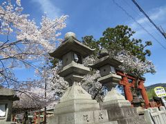 奈良・氷室神社の枝垂れ桜を愛でる