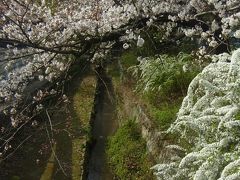 観光させてよ☆京都出張！！準備チュ