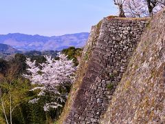 岡城の桜