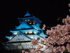 大阪城と夜桜