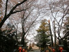 早朝ウォーキングで桜を愛でながら市内各地を巡る・・・①鷲宮駅前から鷲宮神社の桜