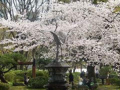 春爛漫の日比谷公園を訪問する②雲形の池周りの桜見物