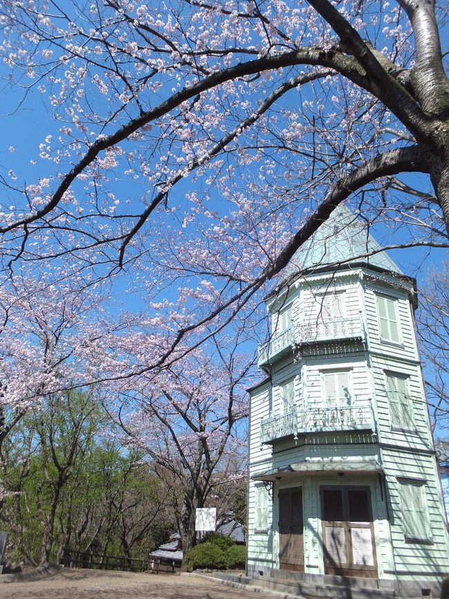 散歩しながらそろそろ桜が満開になりつつある広見公園に行ってきました。<br /><br />★富士市役所のHPです。<br />http://www.city.fuji.shizuoka.jp/index.htm