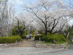 桜と春休みで子供達も満開でした。