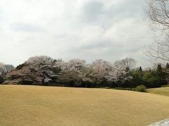 龍泉寺・愛知県森林公園2014.4.2