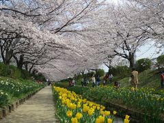 2014年　横浜・江川せせらぎ緑道